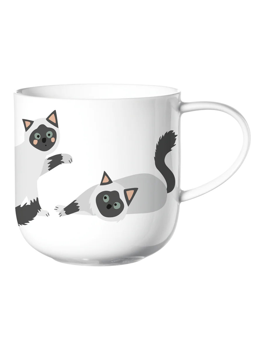 Asa Selection Coppa Birma