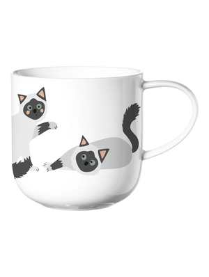 Asa Selection Coppa Birma