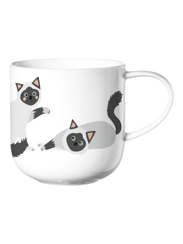 Asa Selection Coppa Birma