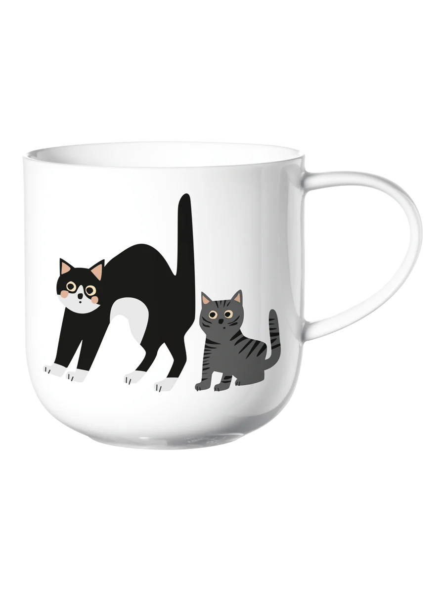 Asa Selection Coppa Surprised Cats