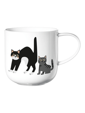 Asa Selection Coppa Surprised Cats