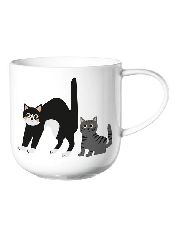 Asa Selection Coppa Surprised Cats