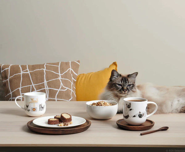 Asa Selection Coppa Surprised Cats