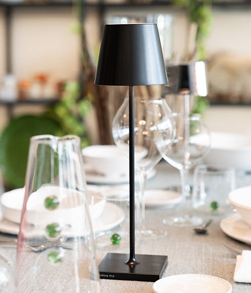 Zafferano - Poldina Pro