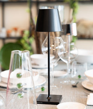 Zafferano - Poldina Pro